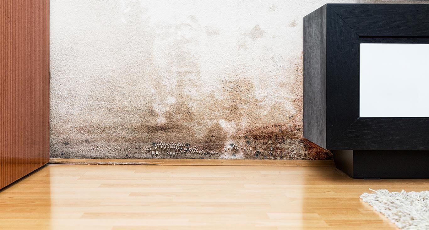 sell homes with mold to summit all cash colorado springs